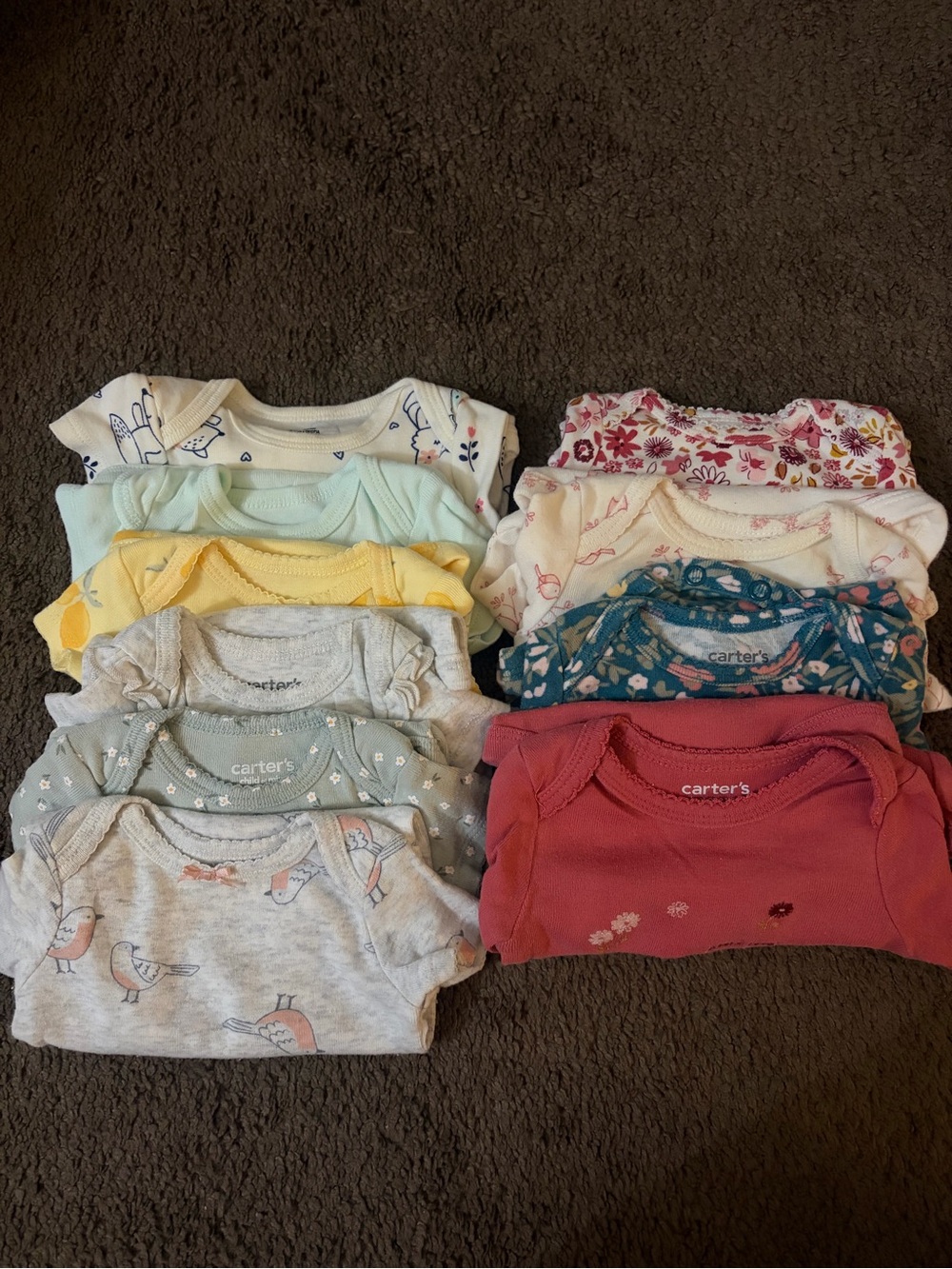 Set of 10 Newborn Babygirl Onesies